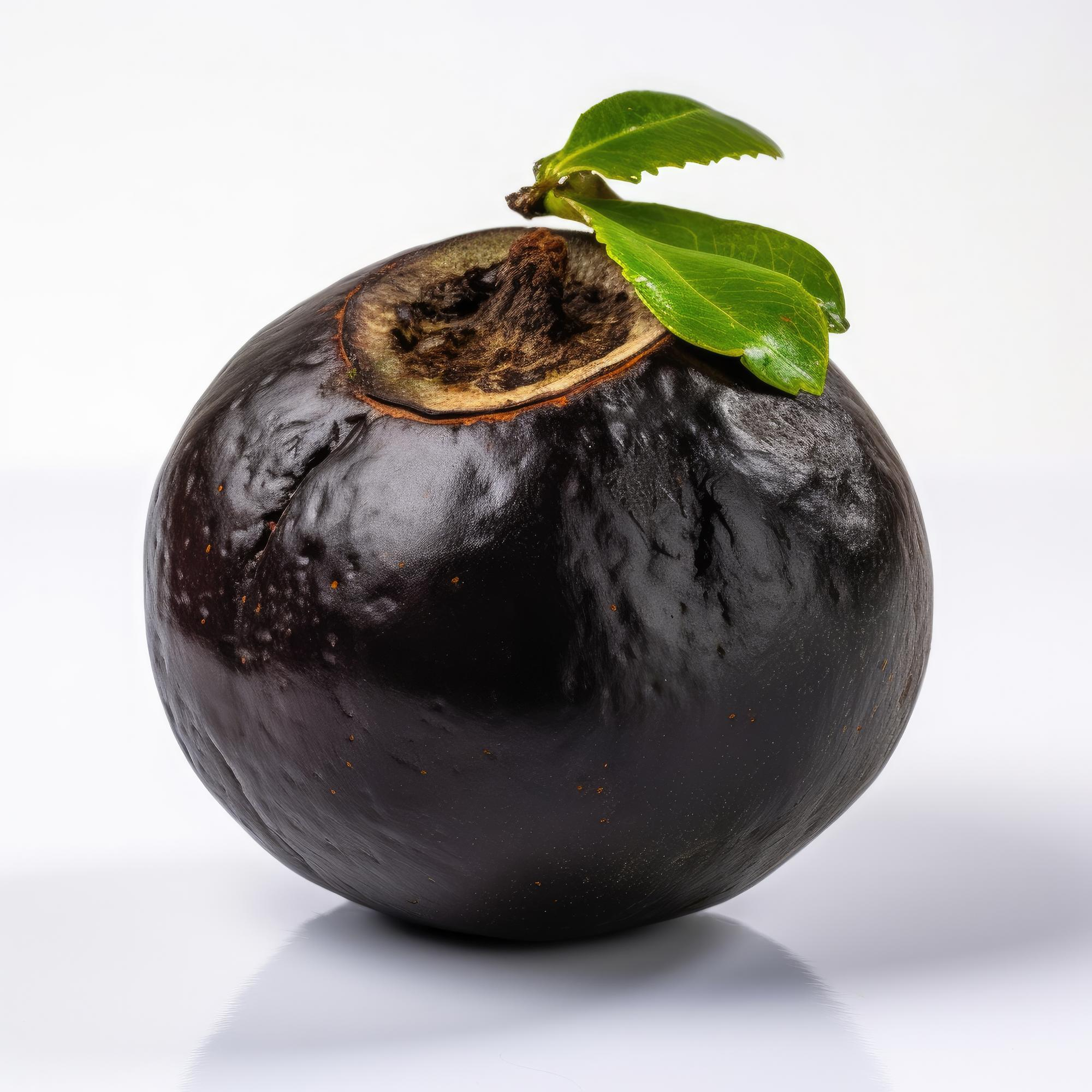 Black sapote