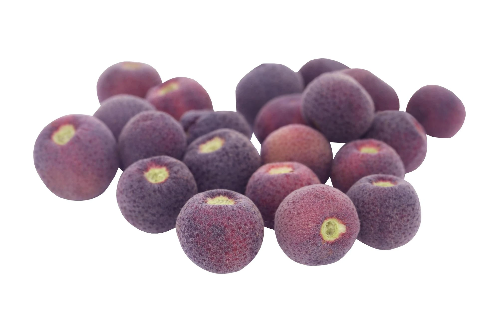 Grewia asiatica fruit