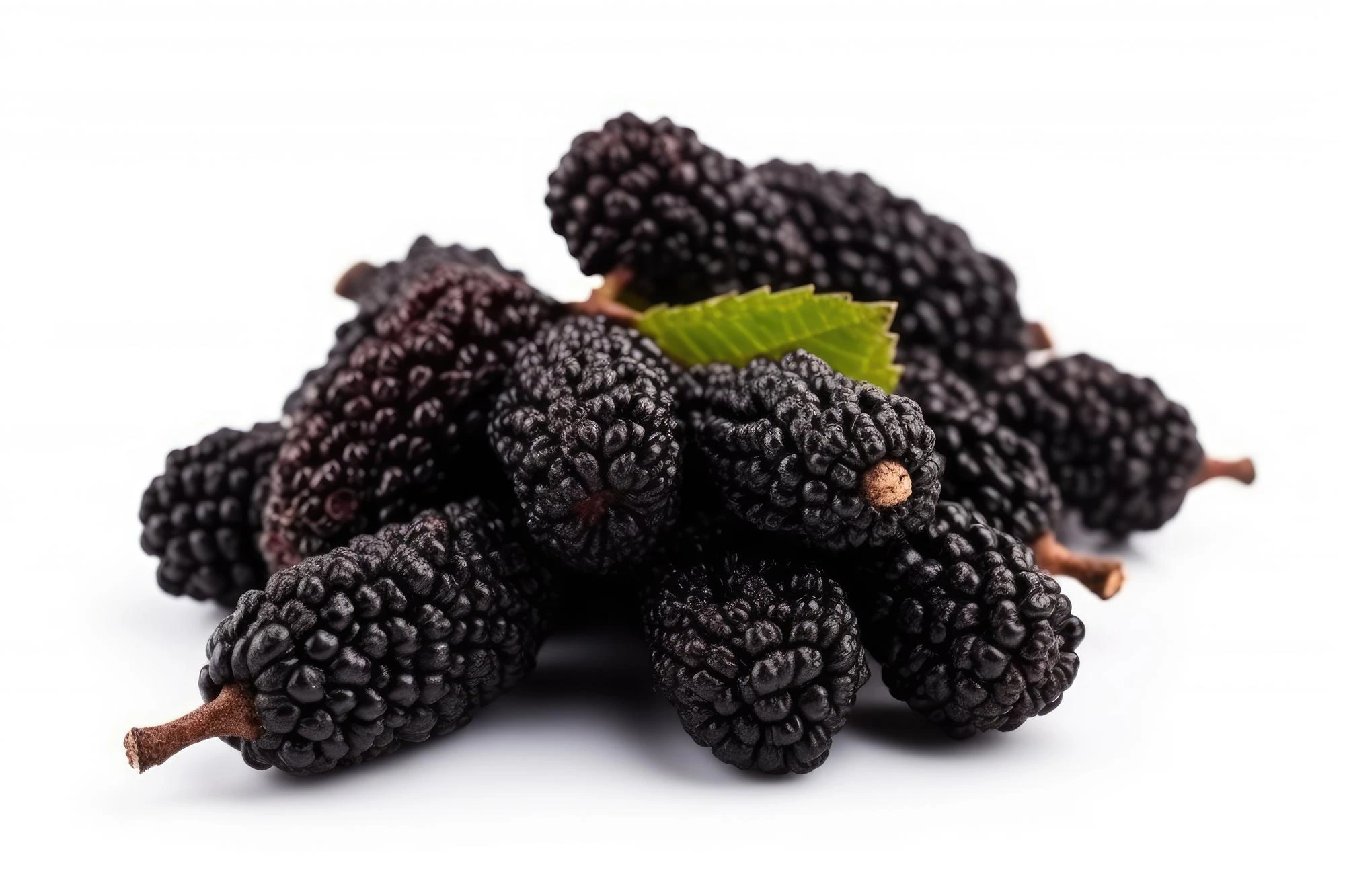 Mulberry fruit