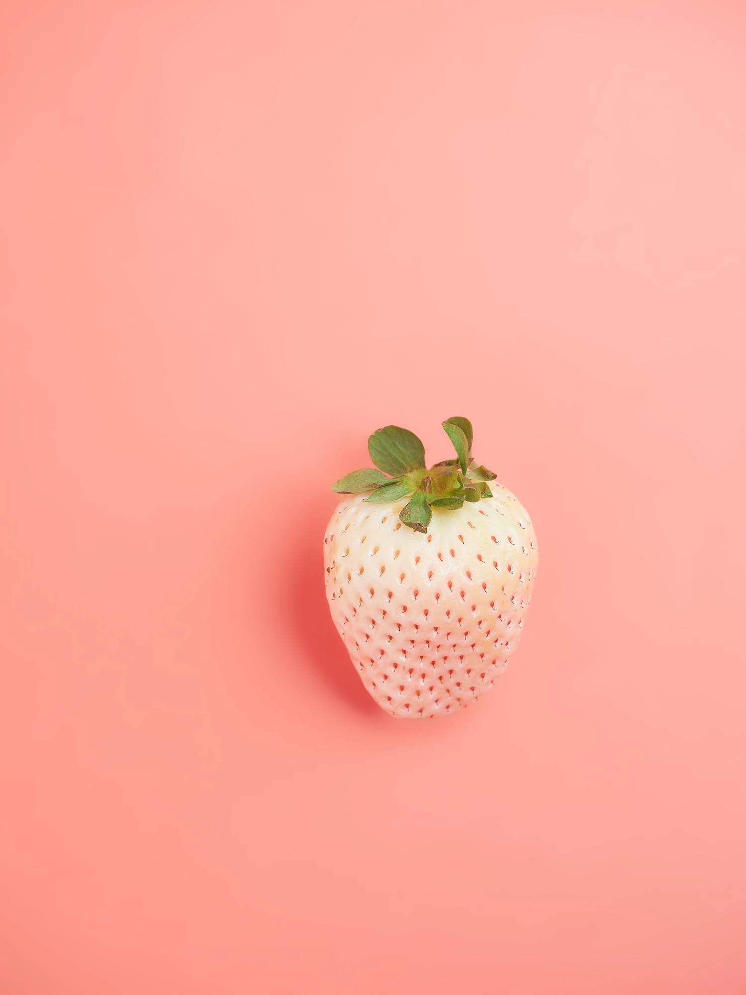 Pineberry fruit