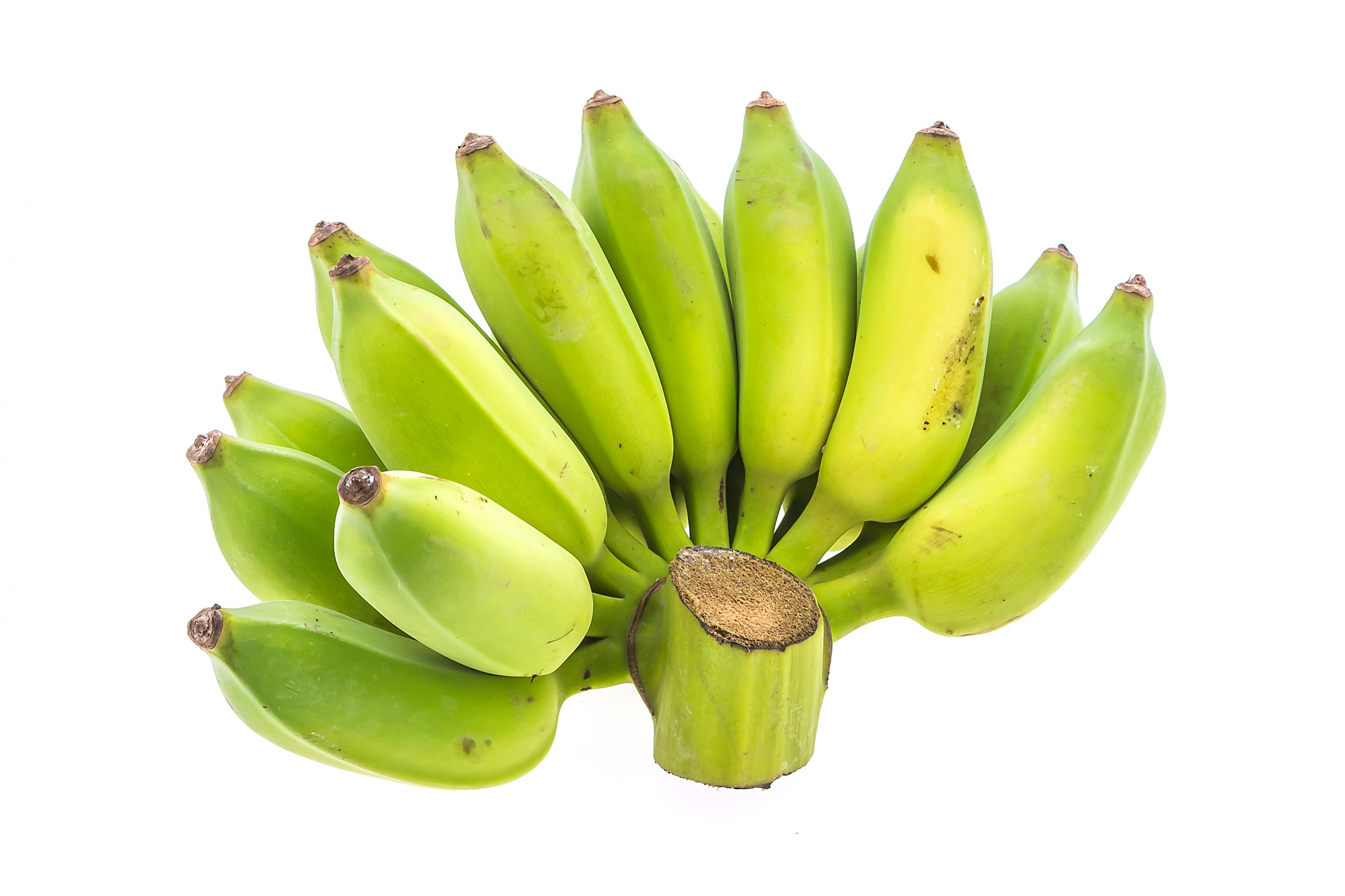 Plantain fruit