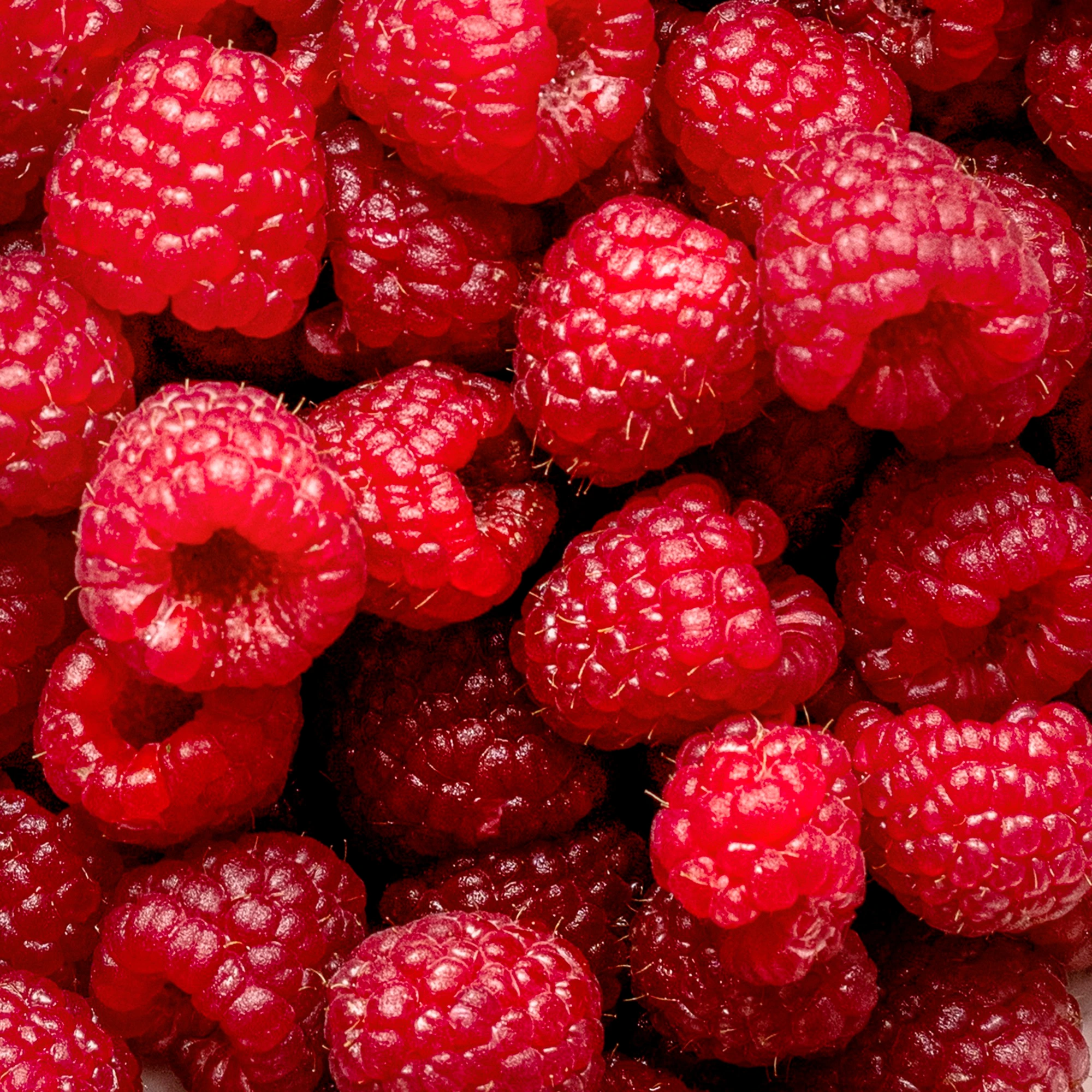 Raspberry fruit