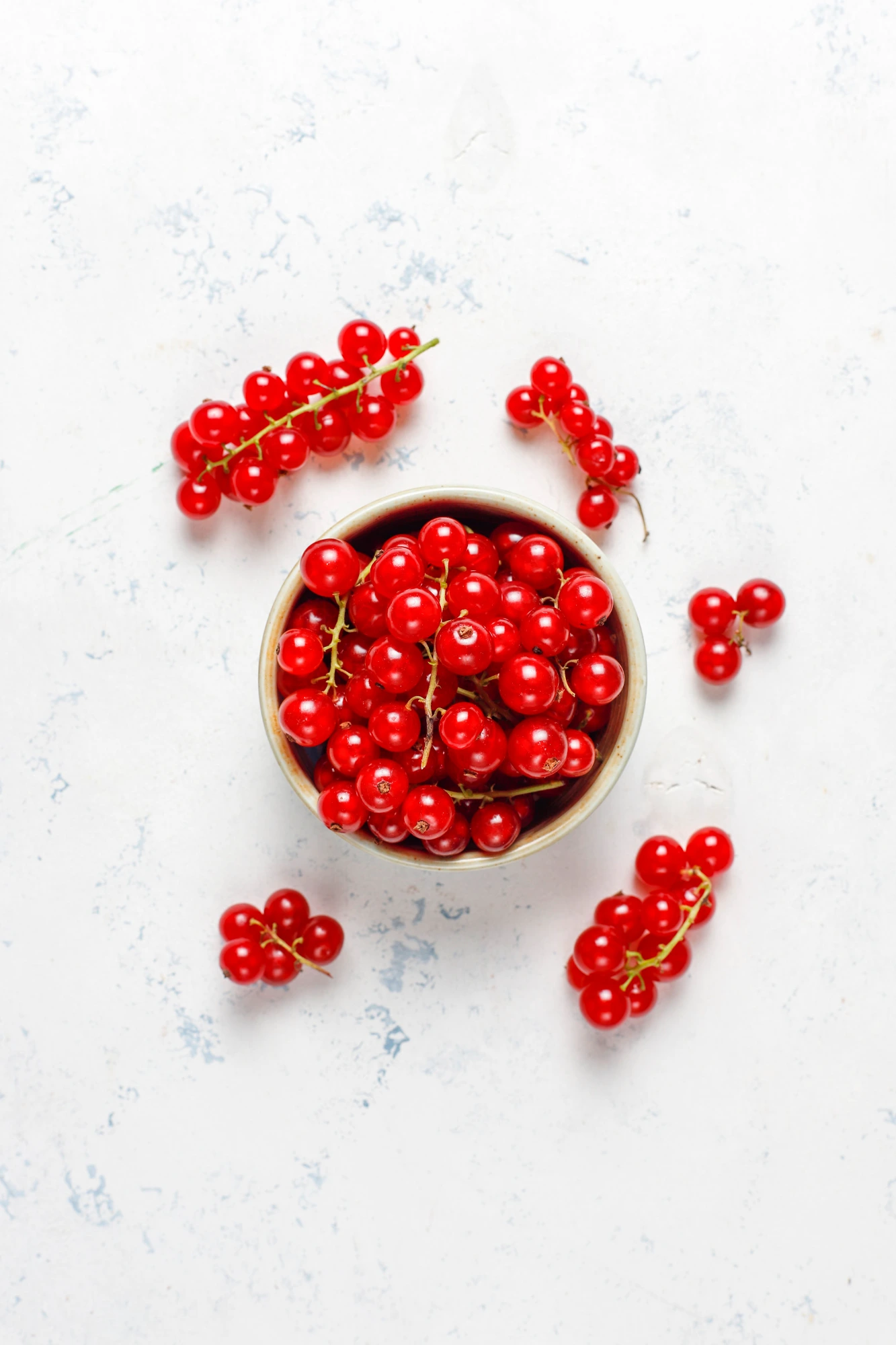 Red Currant fruit