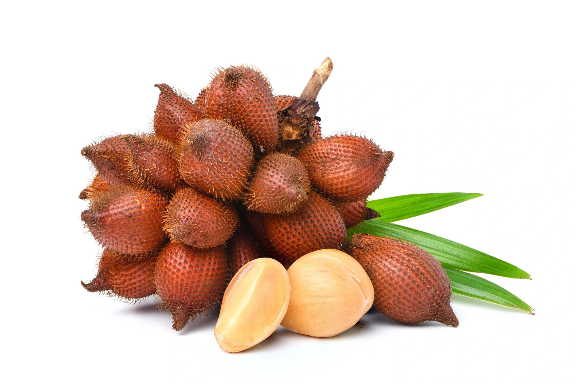 Salak fruit