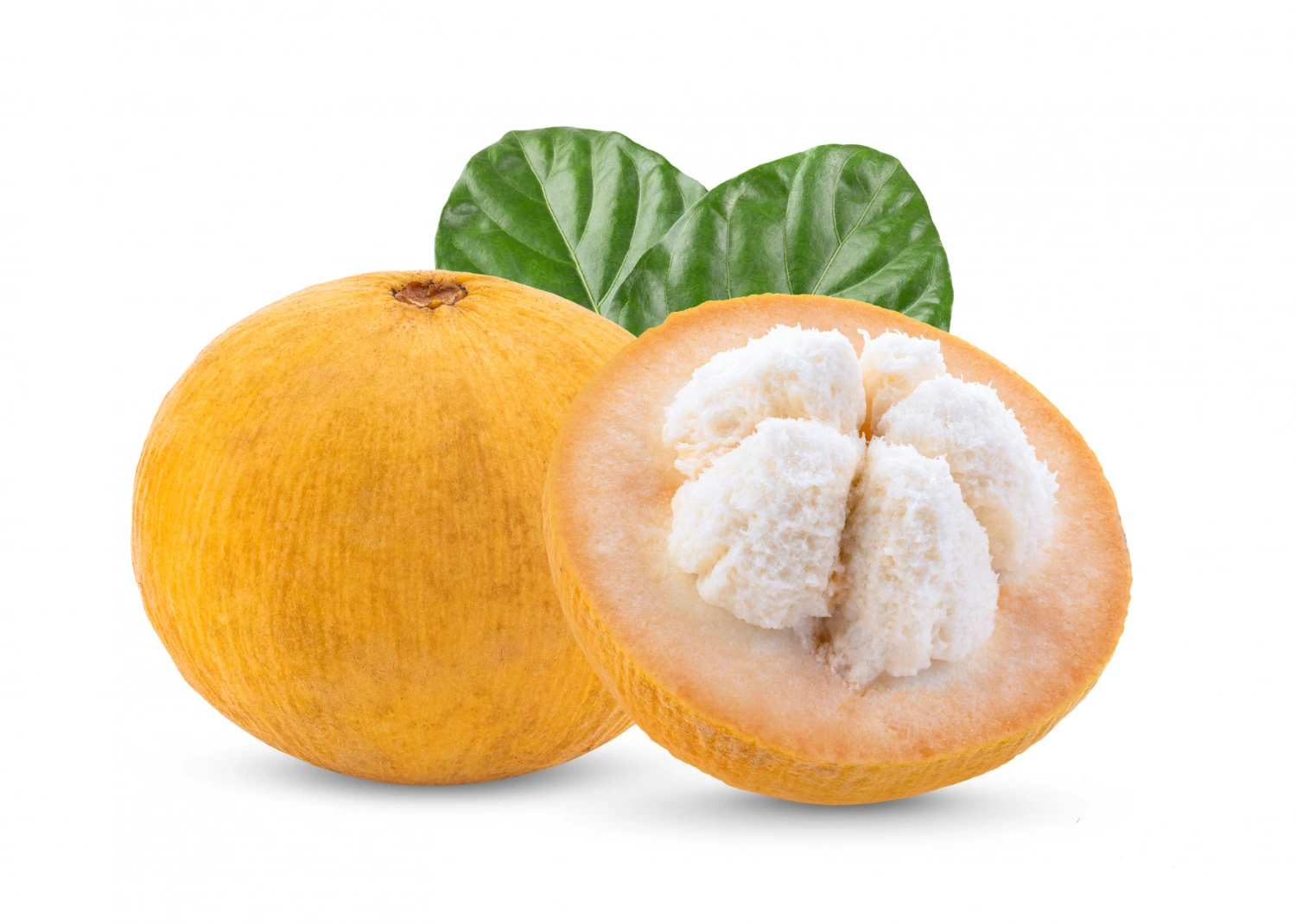 Santol fruit