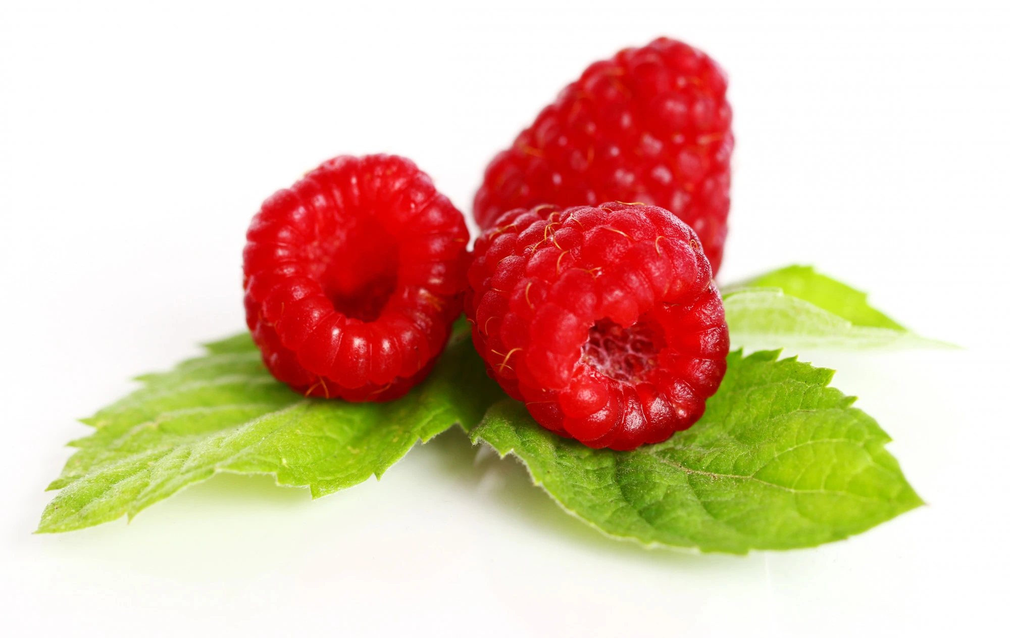 Tayberry fruit
