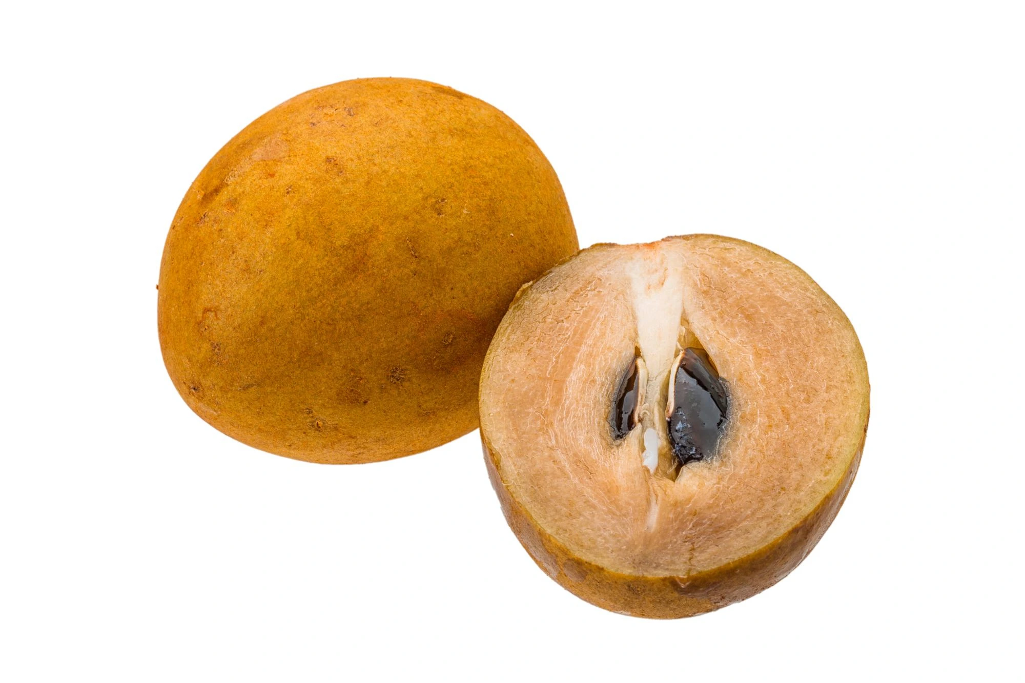 sapodilla fruit