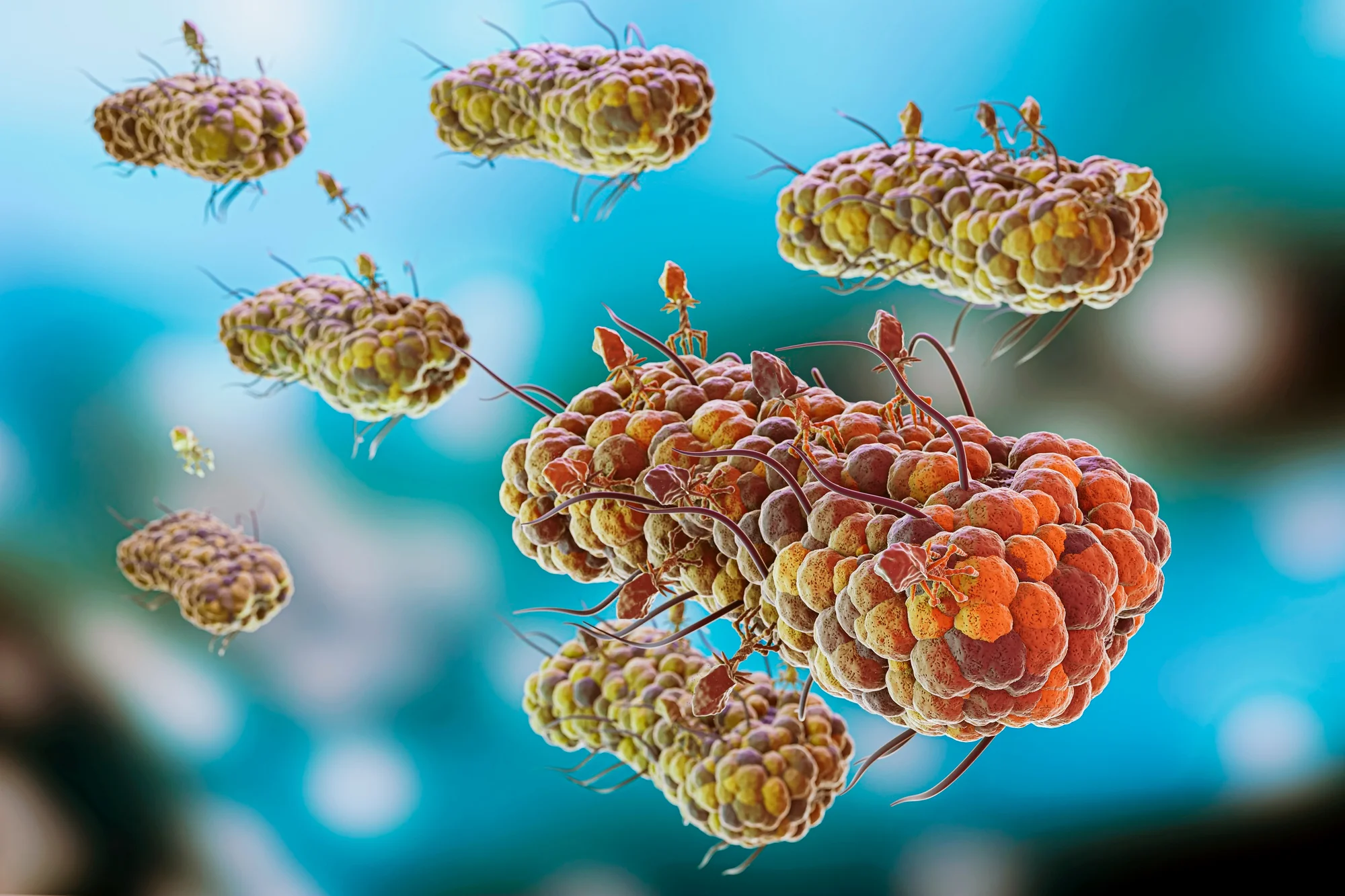 Antimicrobial Resistance