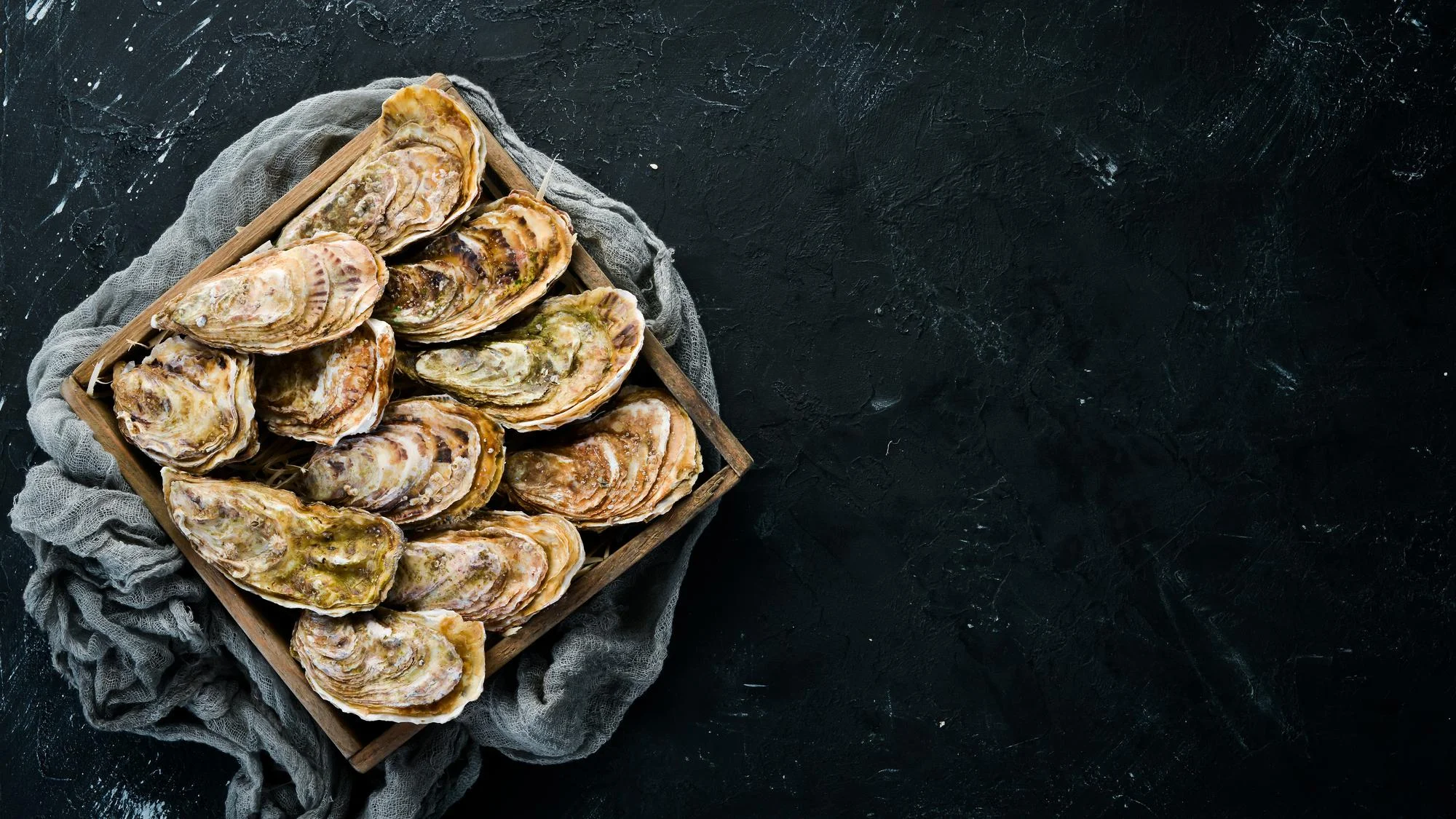 Oyster Immunity