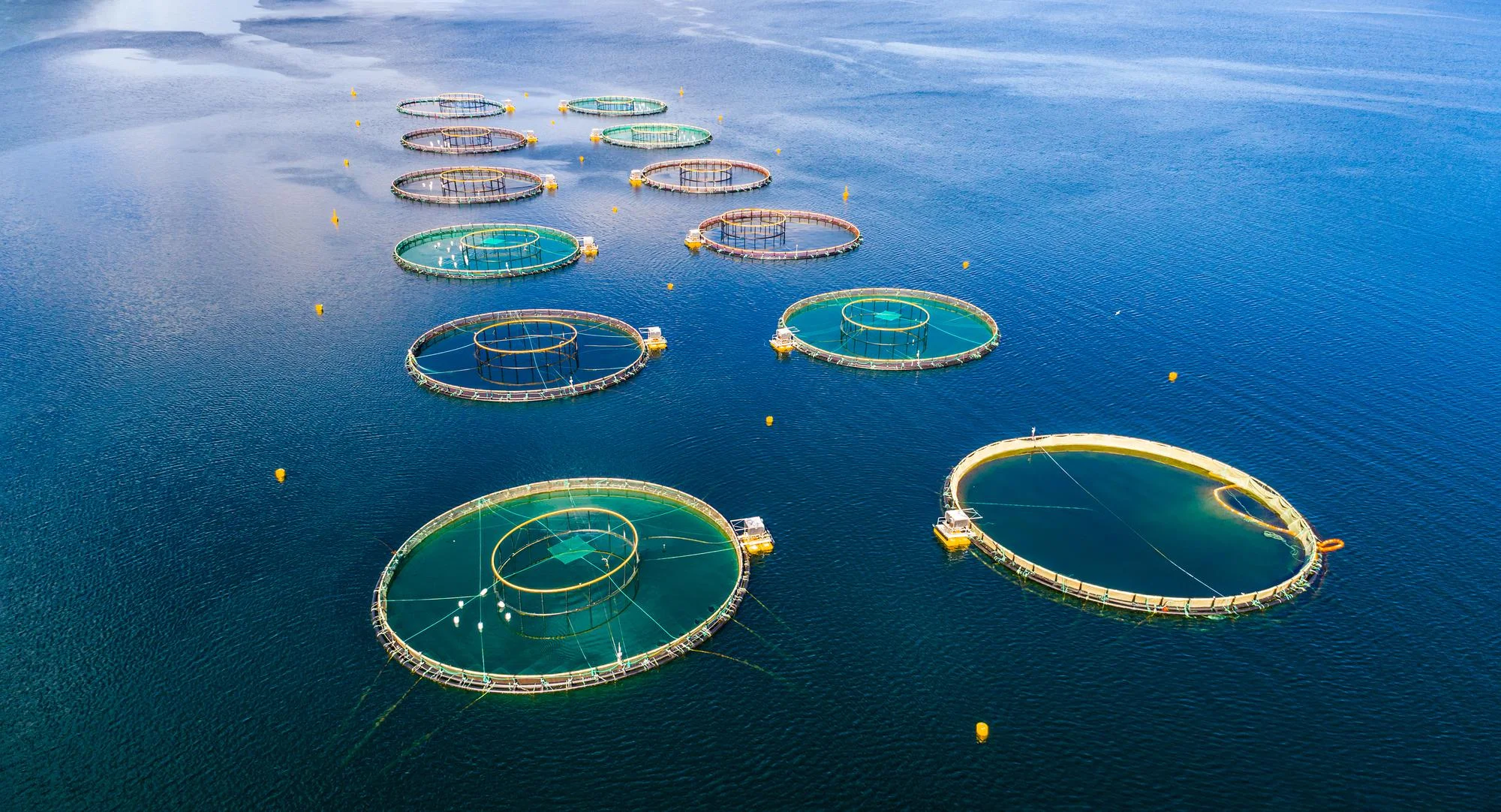 Aquaculture