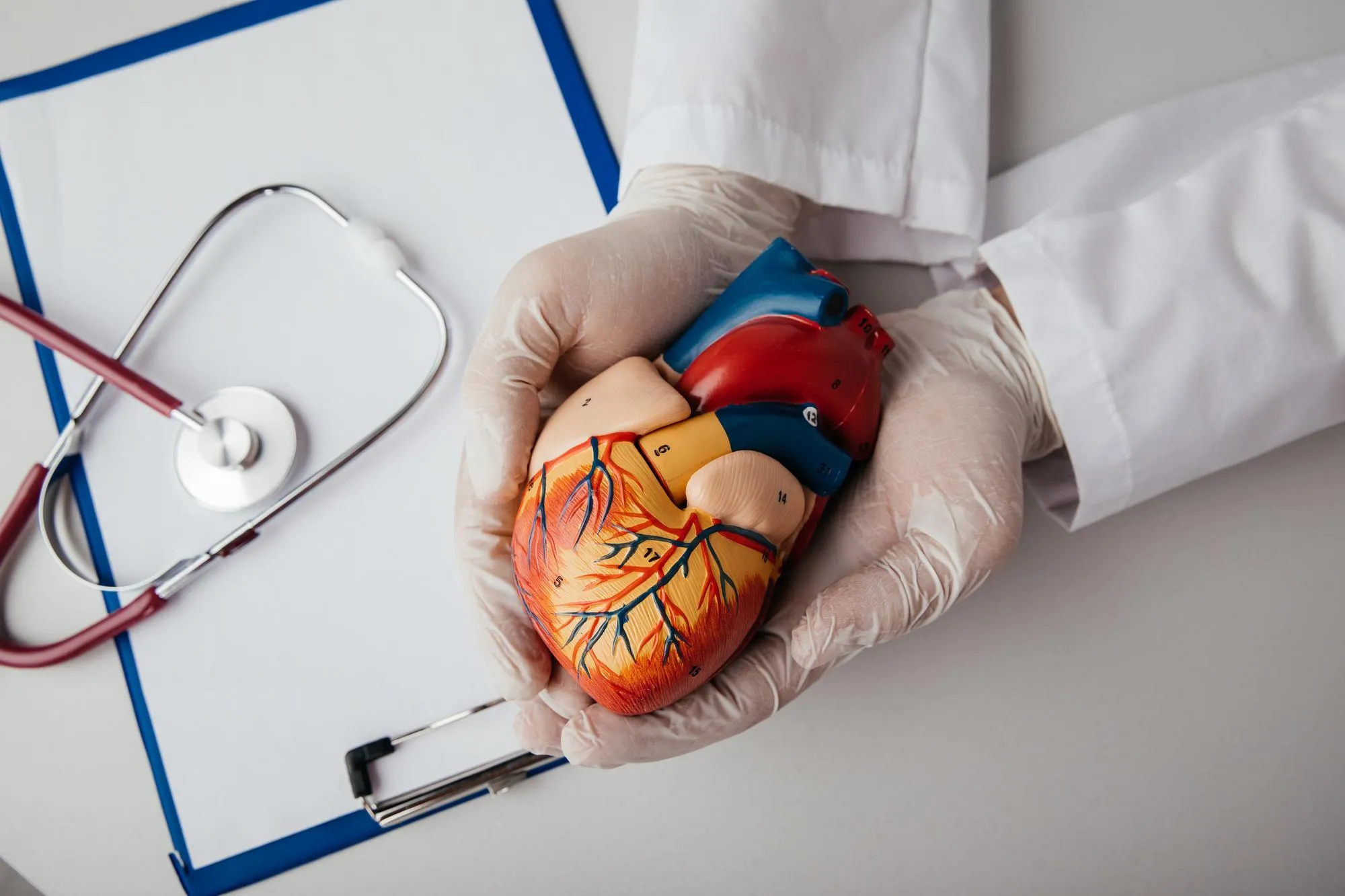 Cardiovascular health
