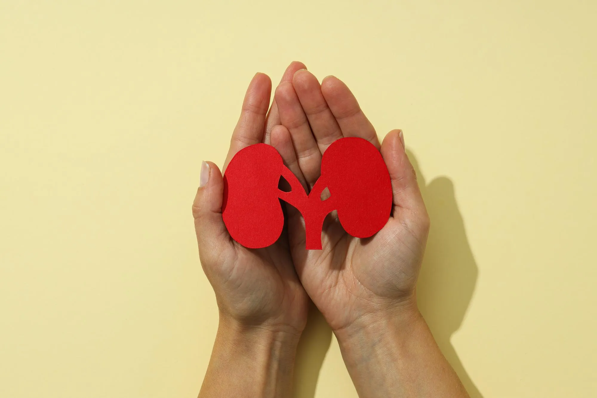 Chronic Kidney diseases