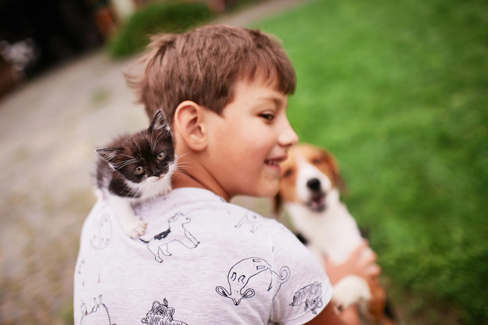 Dogs and cats
