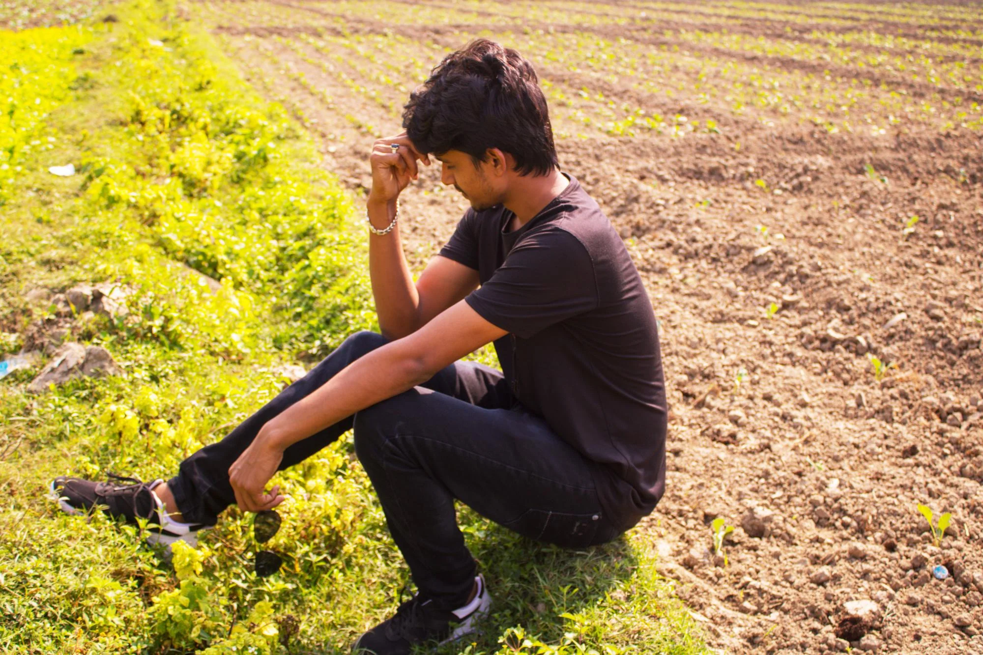 Heat stress agriculture