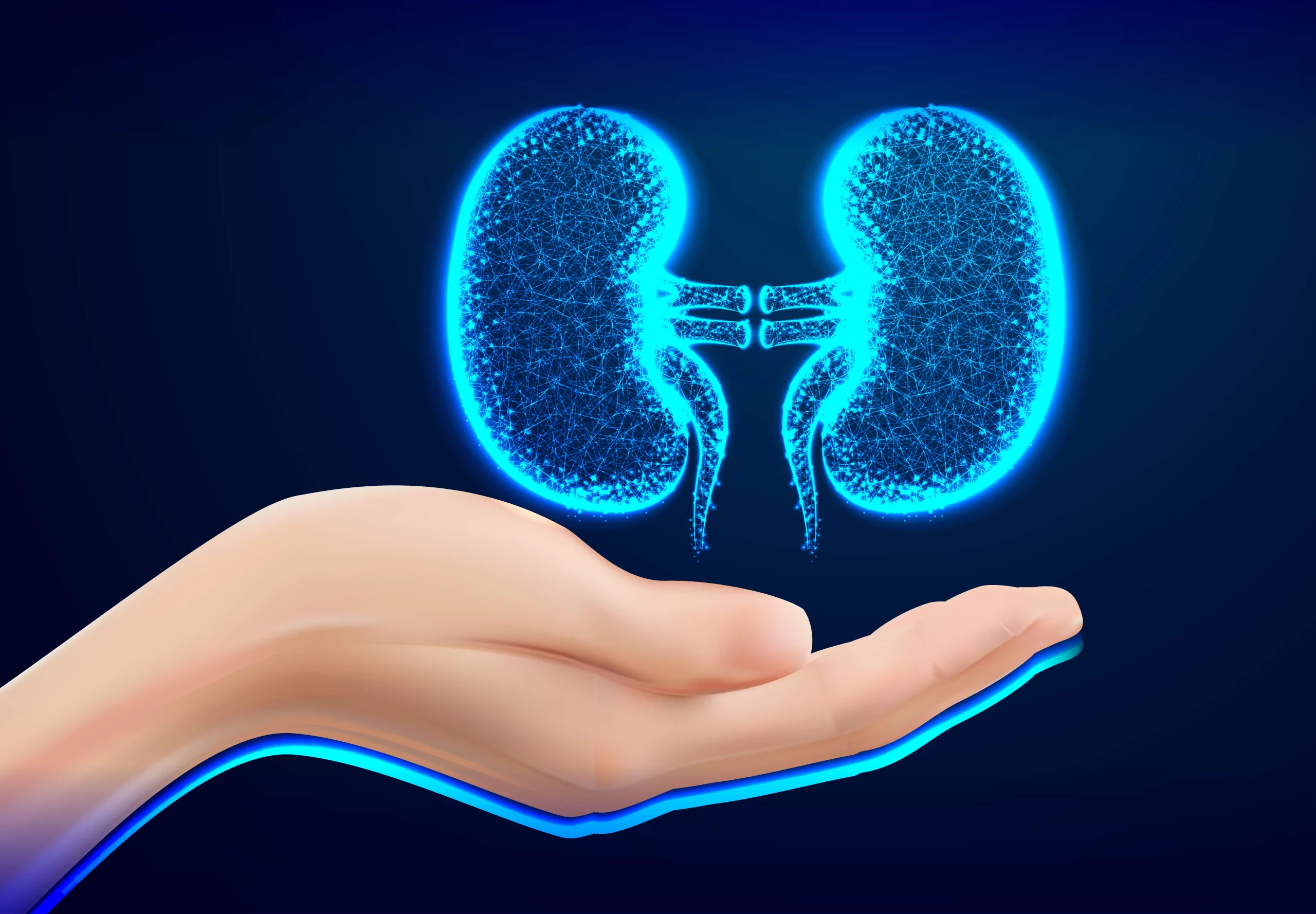 Kidney transplantation