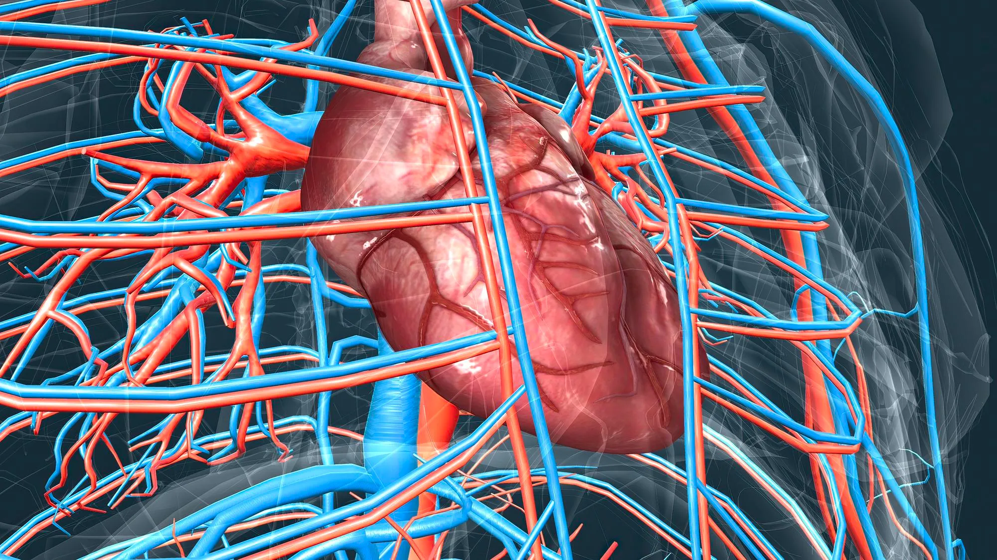 Large Vessel Vasculitis