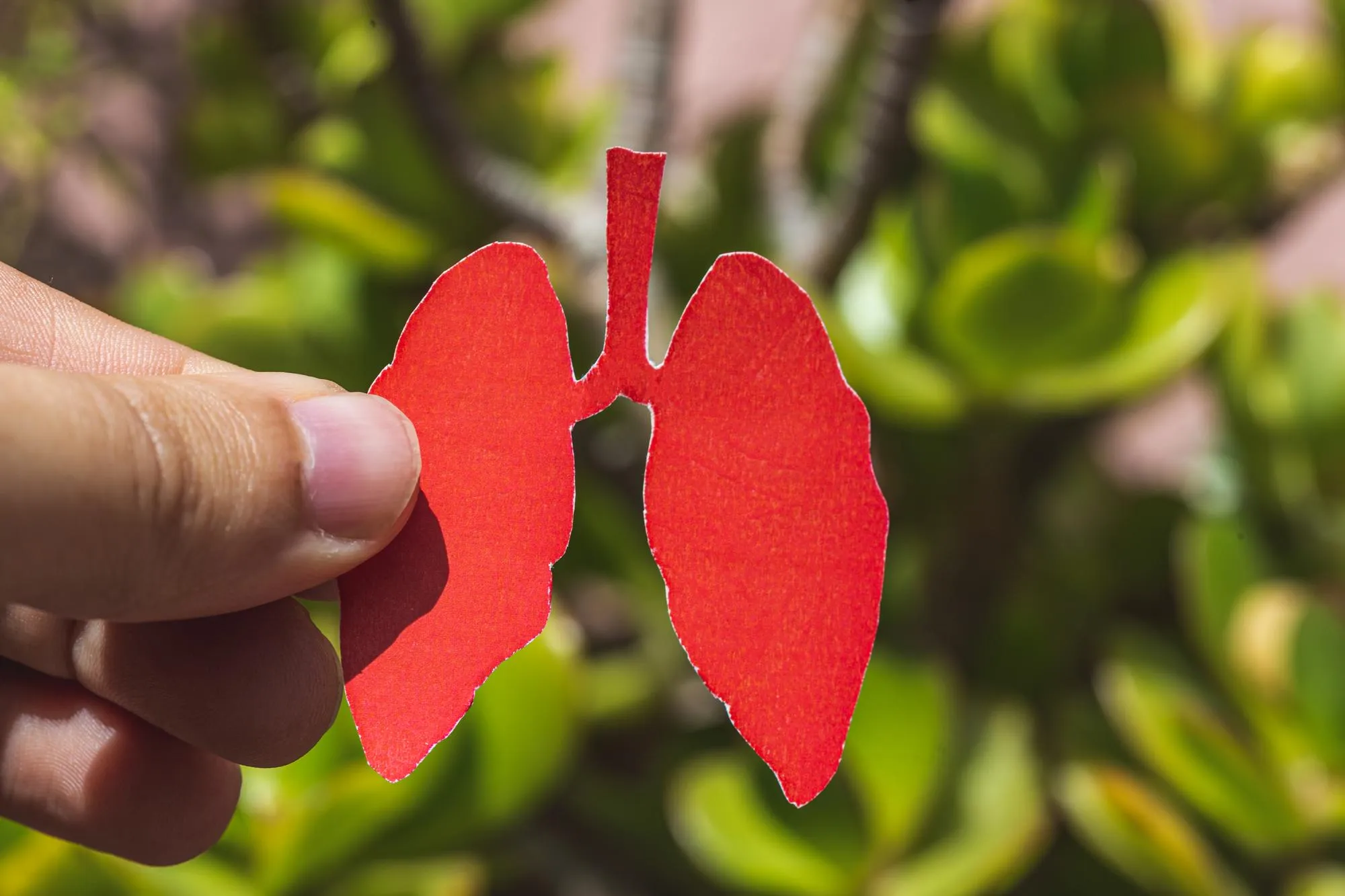 Pulmonary metastases