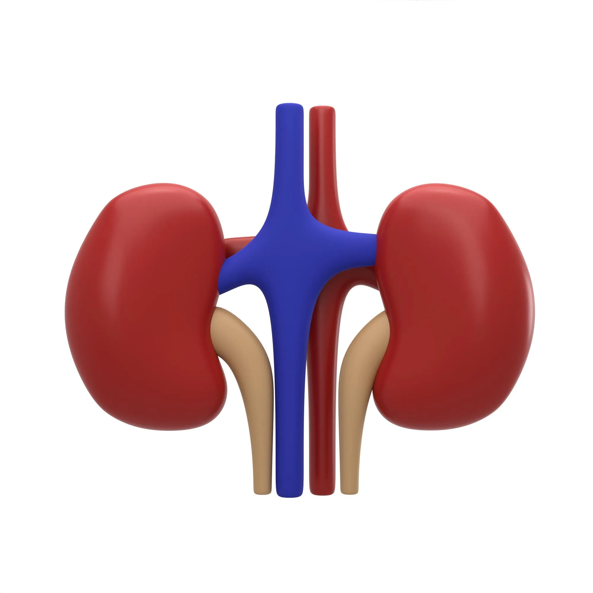 Renal cancer