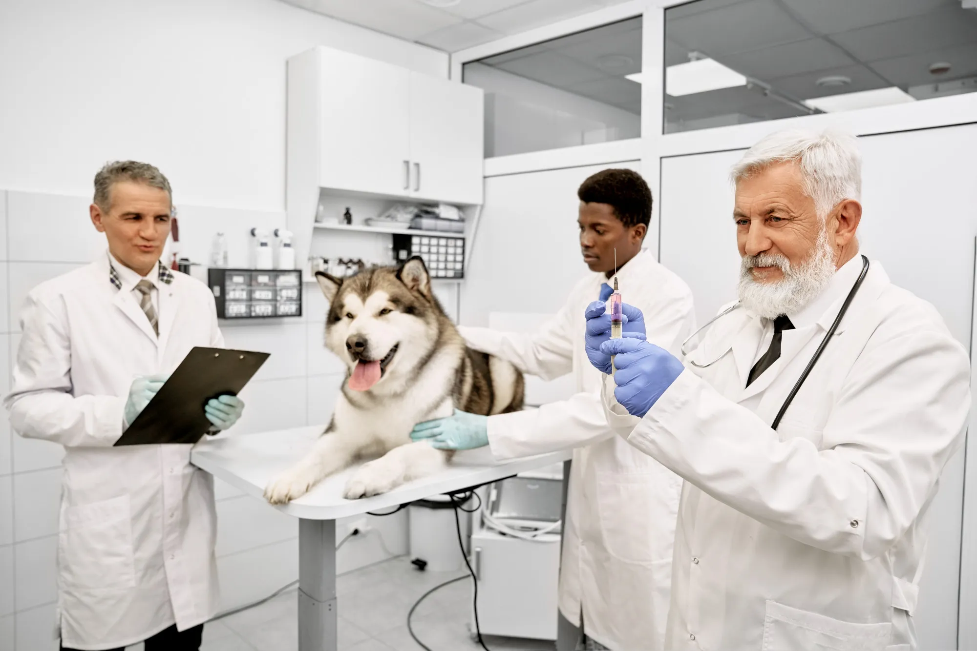 Veterinary Diagnostic