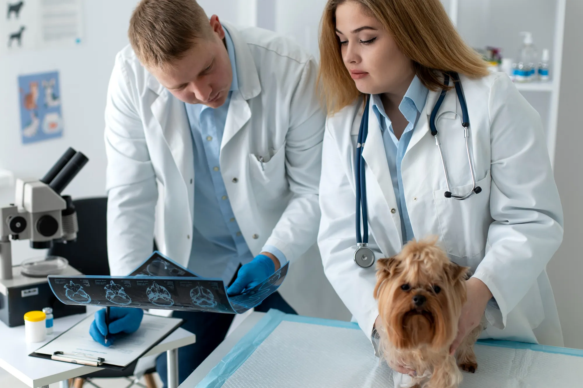 Veterinary pathology