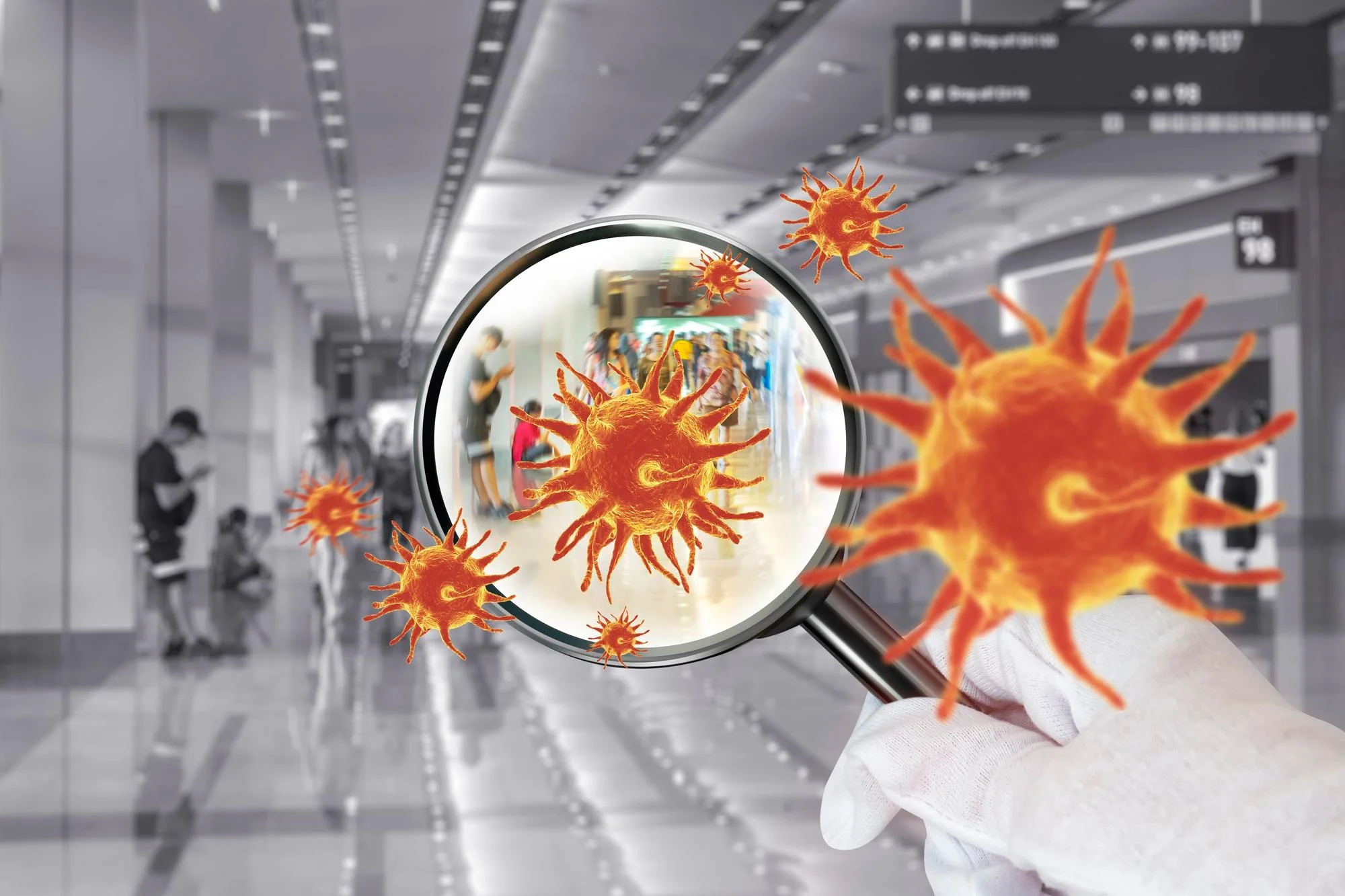 Virus Infectious diseases