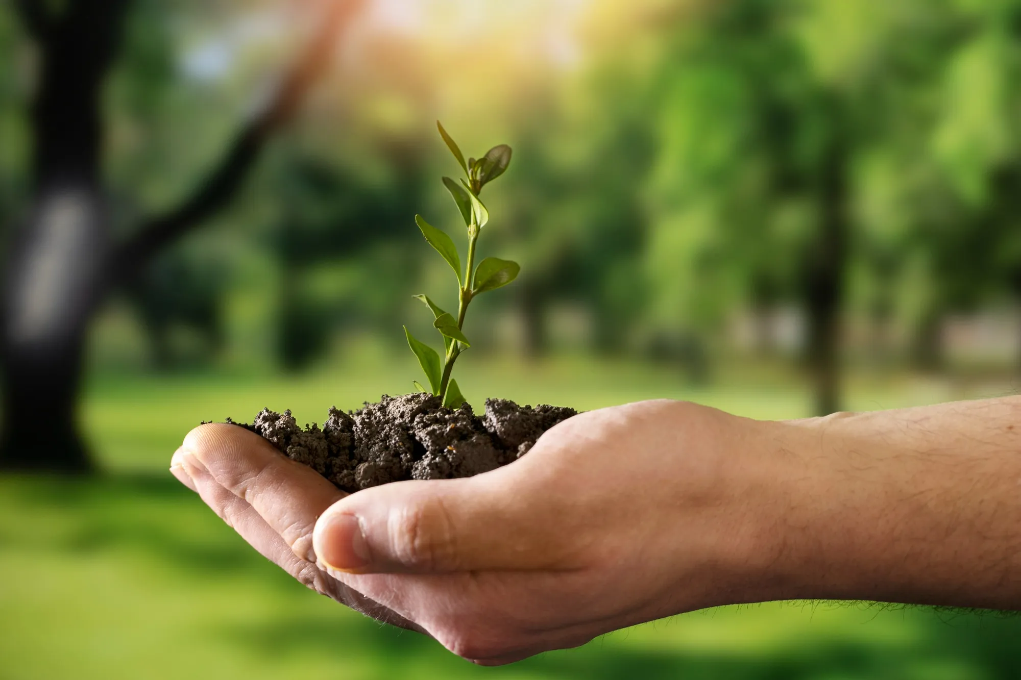 Environmental Monitoring