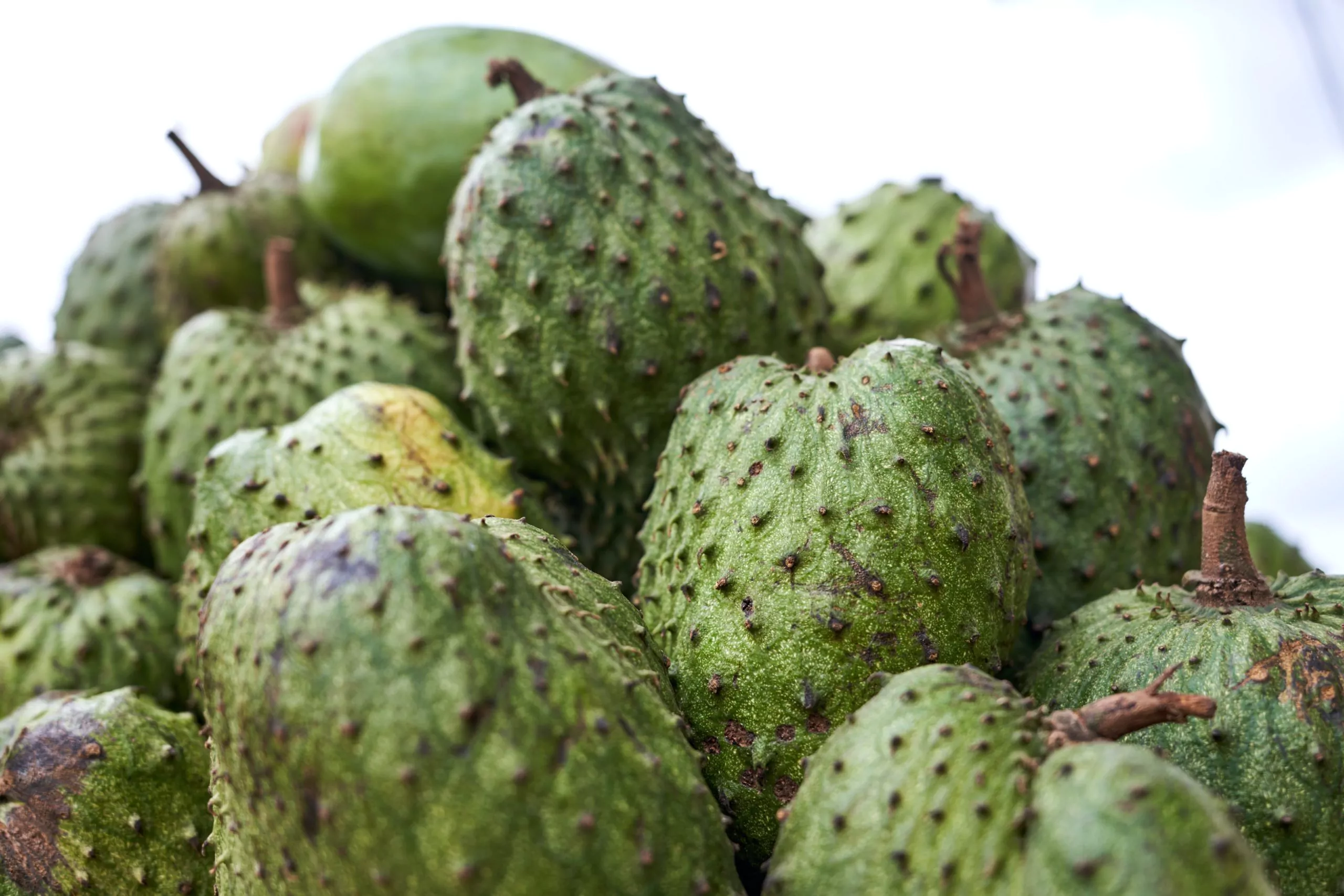 Soursop