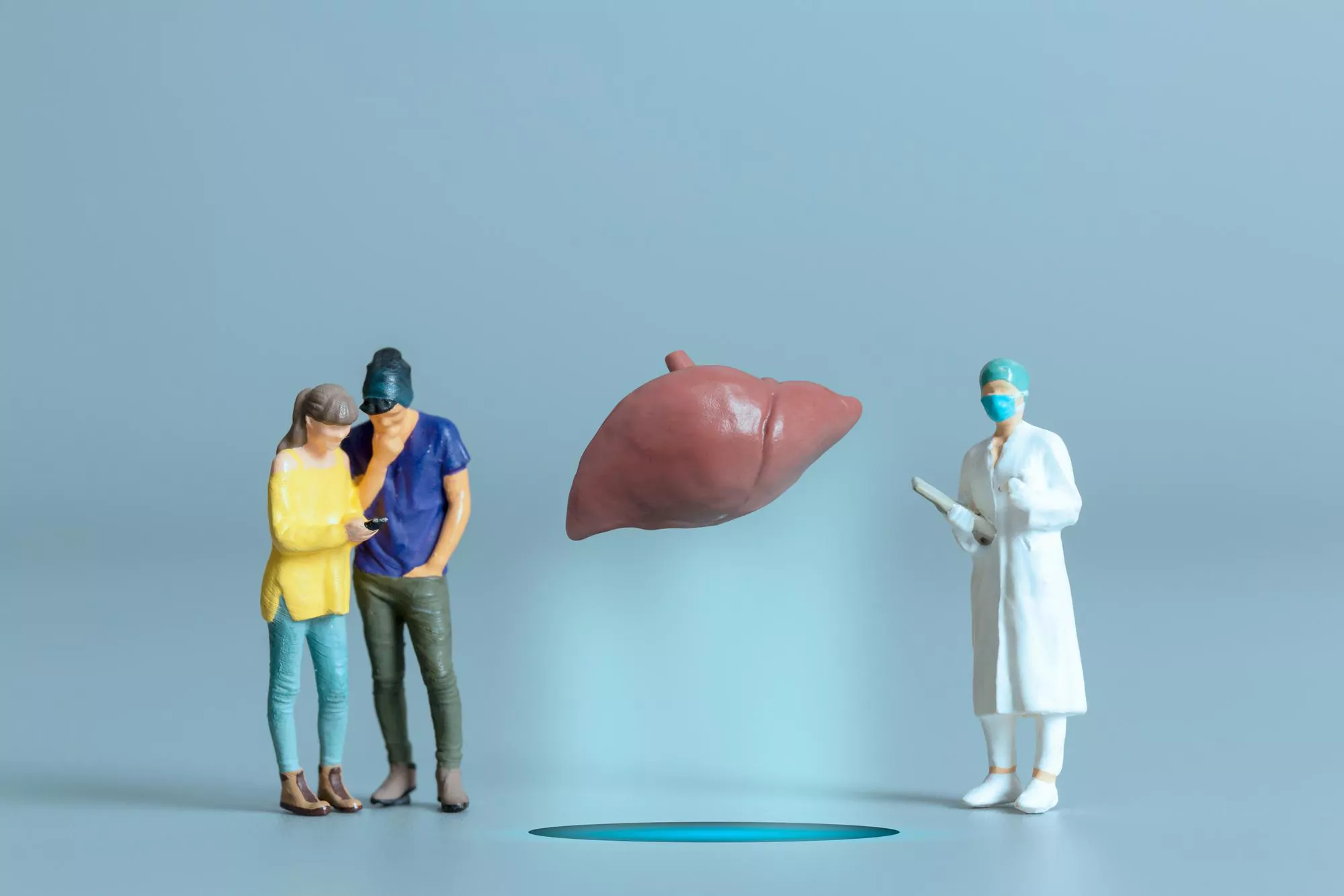 Liver